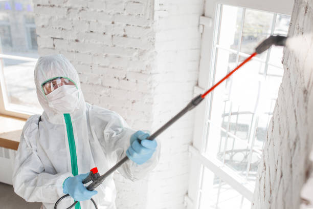 Best Biohazard Mold Removal  in Hernando Beach, FL