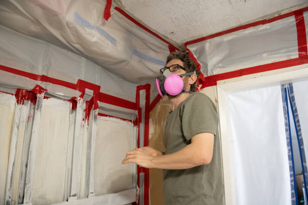 Best Black Mold Removal  in Hernando Beach, FL